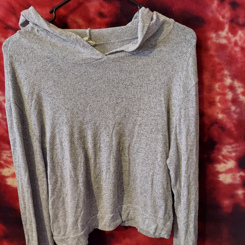 Light Gray Cropped Hoodie Sweatshirt